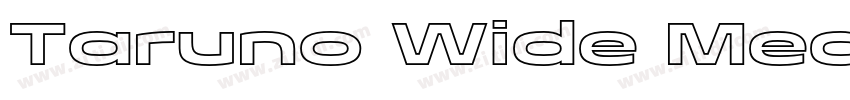 Taruno Wide Med字体转换